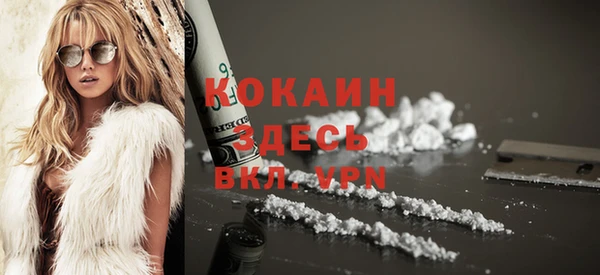 сатива Козельск