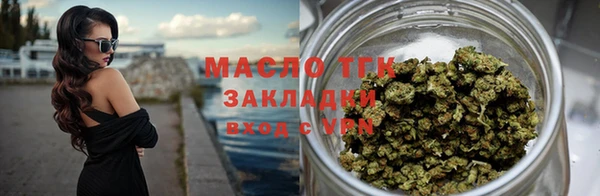 сатива Козельск