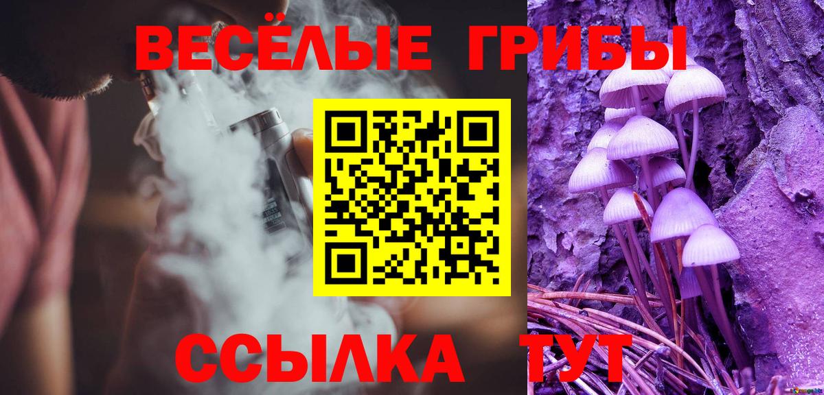 Черняховск  Галлюциногенные грибы MAGIC MUSHROOMS  Вход с VPN  Галлюциногенные грибы MAGIC MUSHROOMS 