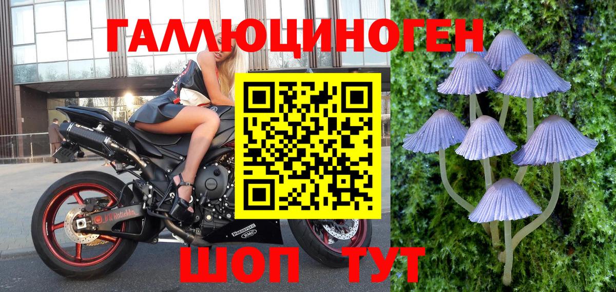 Псилоцибиновые грибы Magic Shrooms Черняховск